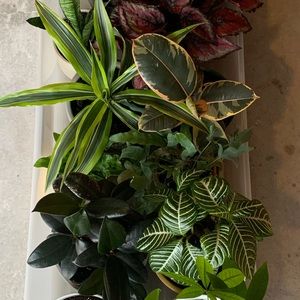 Meet your Posher, Logan